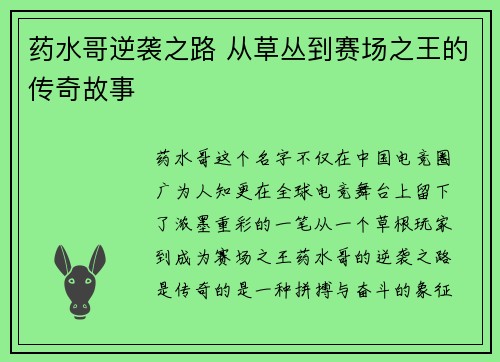 药水哥逆袭之路 从草丛到赛场之王的传奇故事